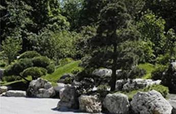 японський сад каменів фото