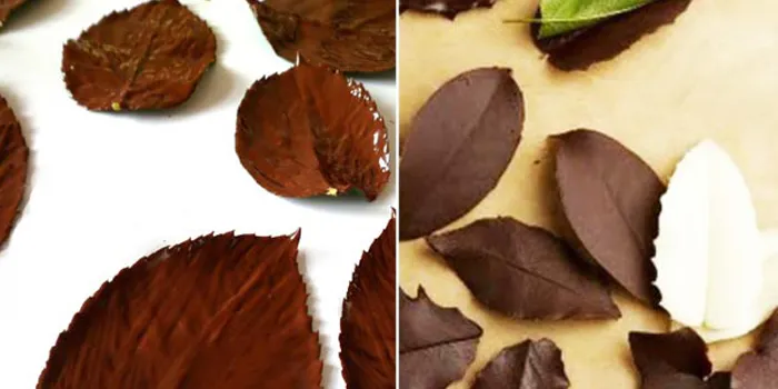 Як зробити красиві шоколадні листочки?