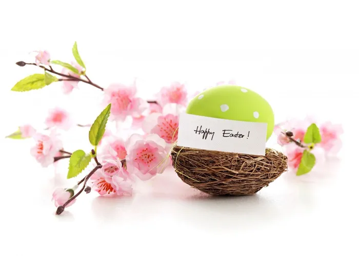 Happy Easter spring