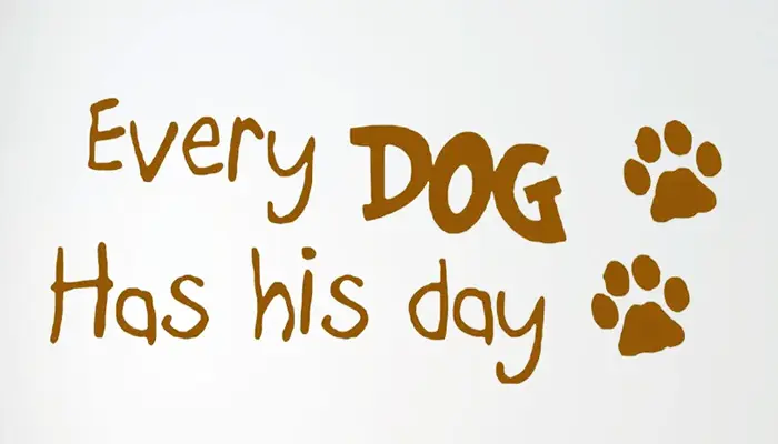 Every dog has his day. - У кожної собаки свій день.