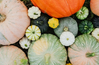 Секрети зберігання гарбузів і кабачків вдома на всю зиму